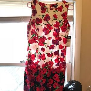 Size 6 NWT poppy workwear dress